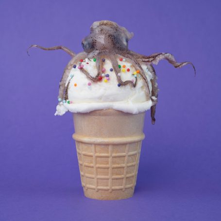 a scoop of vanilla ice cream in a flat bottom cone with sprinkles on top adorned with a squid with tentacles curling around the ice cream